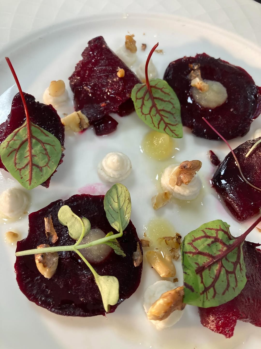 551851484 17925397686108446 673269709967506284 N